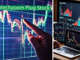 Fintechzoom Plug Stock